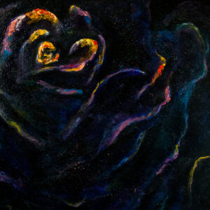 Yin Yang Collection {Color}